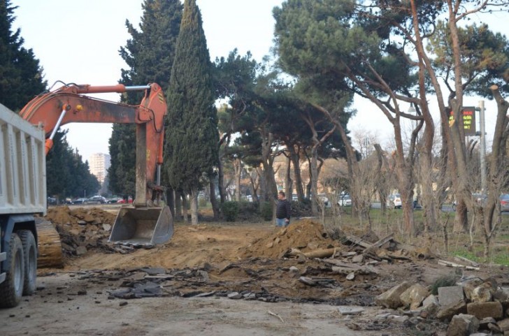 Atatürk parkı belə olacaq - FOTOLAR